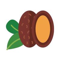 coffee seeds and leafs flat style vector