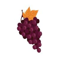 uvas frutas frescas icono aislado vector