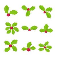 9 Winter and holiday symbol holly berries icon signs vector