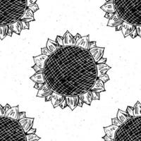 Sunflower seamless pattern hand drawn sketch, background, typography design vector illustration