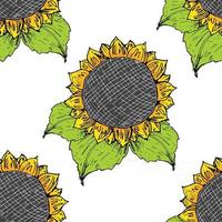 Sunflower seamless pattern hand drawn sketch, background, typography design vector illustration