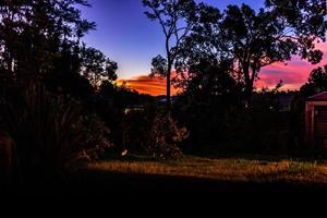 puesta de sol sobre el patio trasero. ranui, Auckland, Nueva Zelanda foto