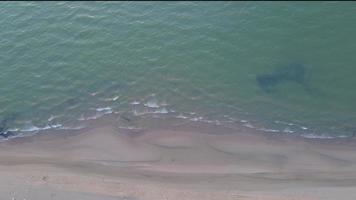 Sea waves top aerial view video