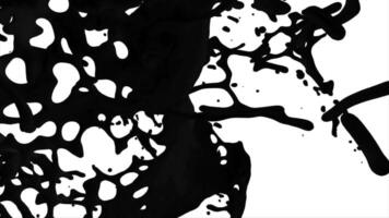 Ink Collision ready to use for motion graphic video