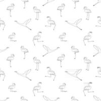 Seamless repeat outline cartoon Doodle flamingos pattern isolated on white background. Cute vector animals are active, dancing, fly, sleep, rest, dream, walk. Black line monochrome effect