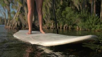 een jonge vrouw sup stand-up paddleboarding op een meer omgeven door bomen. video