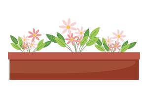 Pink daisies in a pot, houseplants, cute pink flowers, vector illustration in flat style, cartoon