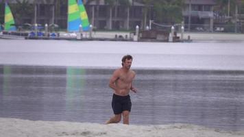 een man joggen op de baai en het strand. video