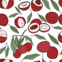 Seamless pattern with lychee fruits vector