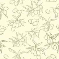 Seamless pattern with olives Vector