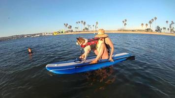 pov av en kvinna och hund som paddlar en sup stand-up paddleboard på en sjö. video