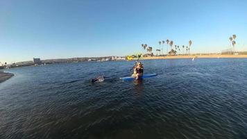 pov av en kvinna, pojke och hund som paddlar en sup stand-up paddleboard på en sjö.
