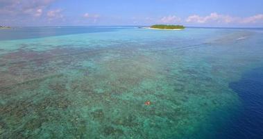Vista aérea de un dron de una pareja de hombre y mujer buceando sobre el arrecife de coral de una isla tropical.