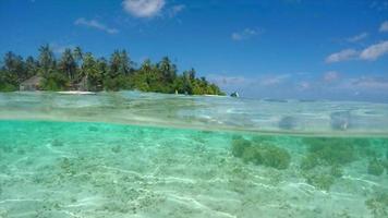 A man and woman couple snorkeling over the coral reef of a tropical island. video