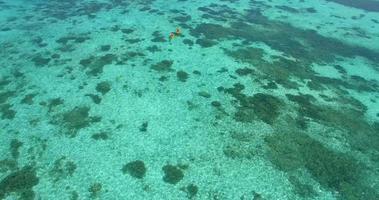 Vista aérea de un dron de una pareja de hombres y mujeres en kayak alrededor de una isla tropical. video