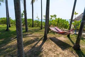 Tropical beach with hammock under the palm trees in sunlight photo