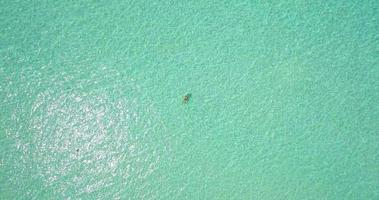 vista aérea de drone de una mujer flotando y nadando en una isla tropical.