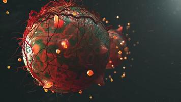 células del cuerpo. virus. animación visualización 3d video