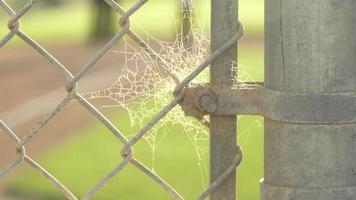 Detail of a chain link fence and spider web a little league baseball game. video