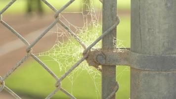 Detail of a chain link fence and spider web a little league baseball game. video