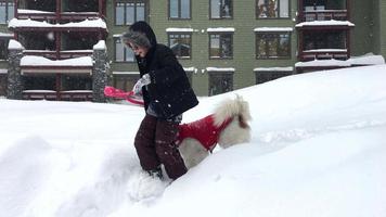 ein Junge und ein Hund spielen im Schnee in einem Skigebiet. video