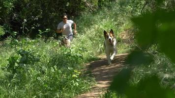 un hombre corriendo con sus perros por un sendero.