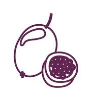 fresh passion fruit isolated icon vector