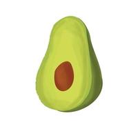 Avocado fruit  with core isolated on white background. Hand drawn painting. Vector illustration.