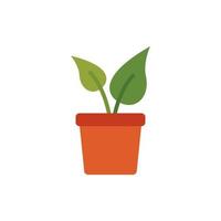 house plant cultivating flat style vector