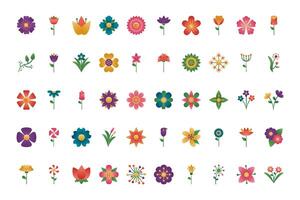 bundle of flowers degradient style icons vector