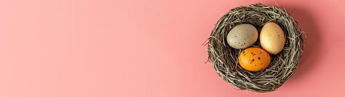 Easter eggs in a natural nest with bird eggs on a pink background. View from above.Banner photo