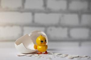White egg shell of a broken chicken egg with fragments and a hatched chicken isolated. Easter photo
