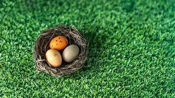 Easter eggs in a natural nest on a green background with grass texture. View from above. Banner photo