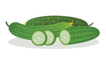 Vector image of cucumbers and slices, isolated on a white background. Fresh vegetables.