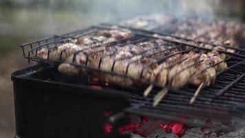 carne di pollo su un barbecue a carbone video