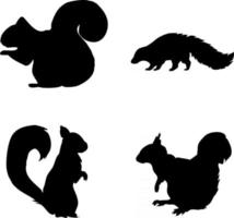 Squirrel silhouette vector