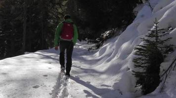 um casal de homem e mulher, caminhadas na neve nas montanhas no inverno. video
