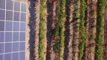 vista aerea del drone di pannelli solari e aziende agricole di vigneti in sud africa.