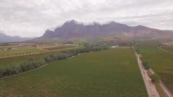 vista aerea del drone di una strada sterrata e aziende agricole di vigneti in sud africa. video