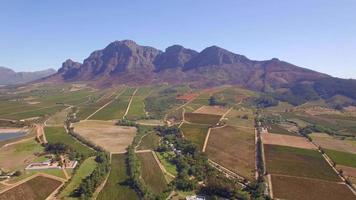 Vista aérea de drones de viajes de granjas de viñedos de uva en Sudáfrica.