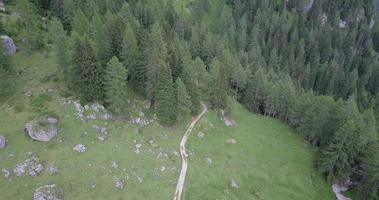 vista aérea do drone de caminhantes, caminhadas nas montanhas. video