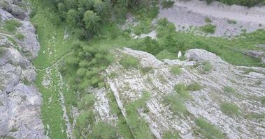 vista aérea do drone de caminhadas nas montanhas.