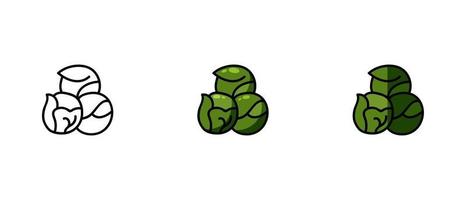 Contour and colored symbols of Brussels sprouts vector
