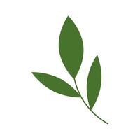 ecology branch with leaves isolated icon vector