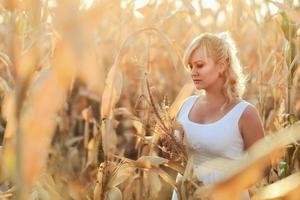 mujer con un vestido largo de verano blanco camina sobre un campo de maíz y posando al atardecer.