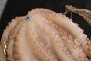 raw fresh octupus, seafood at home cooking, tasty ocean animal photo