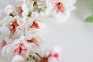 Flowers composition. Frame made of white tender flowers on white background. Flat lay, copy space photo