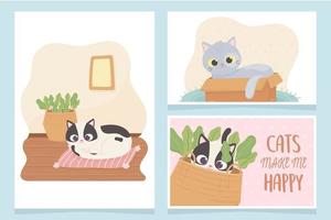 pet cats make me happy with box cushion and basket cartoon vector