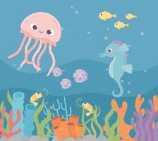 medusas caballito de mar peces camarones vida arrecife de coral bajo el mar
