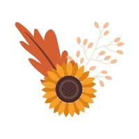 beautiful sunflower with leaves decoration vector